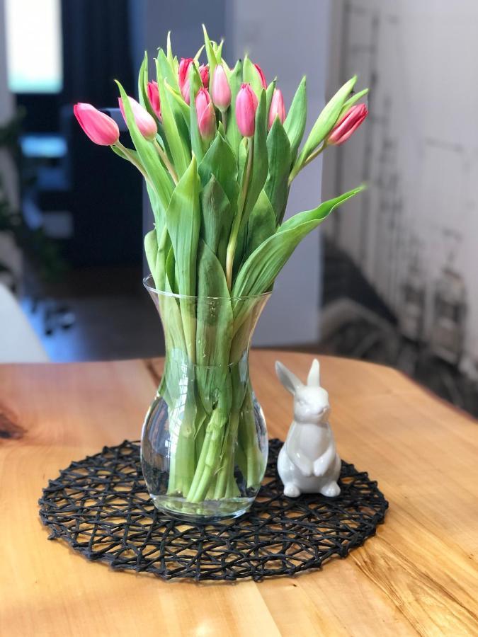 Apartament Apartament Loft Bielsko-Biała Zewnętrze zdjęcie