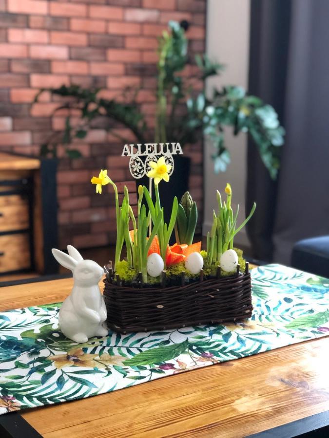Apartament Apartament Loft Bielsko-Biała Zewnętrze zdjęcie